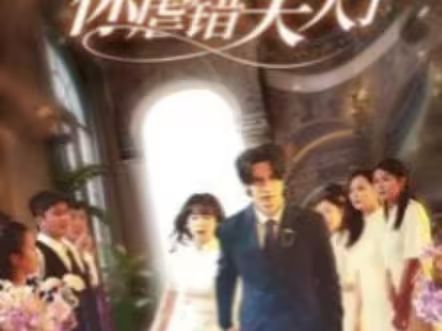 陸總住手吧，你虐錯(cuò)夫人了(全集)