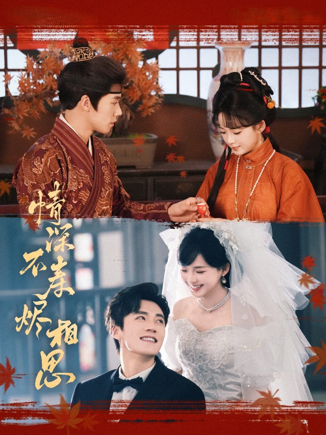 情深不壽燼相思(全集)