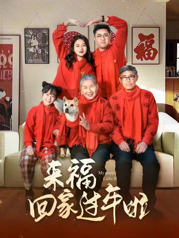 來?；丶疫^年啦(全集)