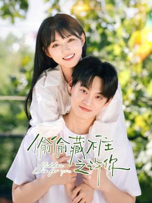 偷偷藏不住之許你(全集)