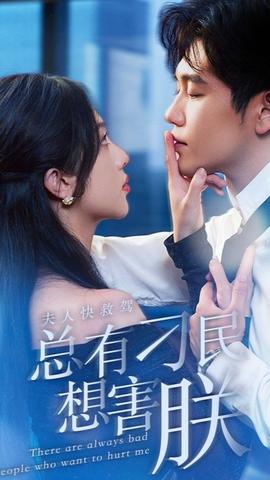 夫人快救駕，總有刁民想害朕(全集)