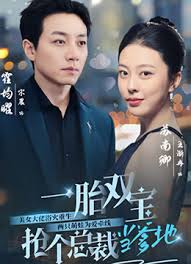 一胎雙寶，搶個總裁當(dāng)?shù)?全集)