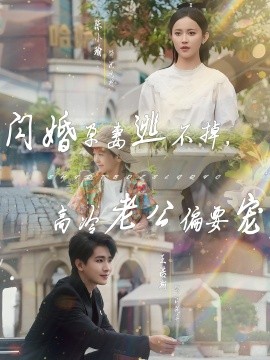 閃婚孕妻逃不掉，高冷老公偏要寵(全集)