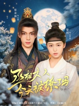 丞相大人今天被撩了嗎(全集)