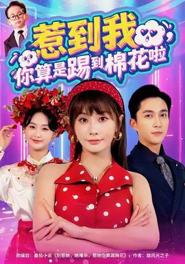 惹到我，你算是踢到棉花啦(全集)