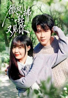 微風(fēng)輕拂又見你(全集)