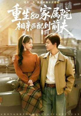 重生80家屬院，相親匹配到前夫(全集)