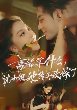 離婚算什么，沈小姐她轉(zhuǎn)頭改嫁了(全集)