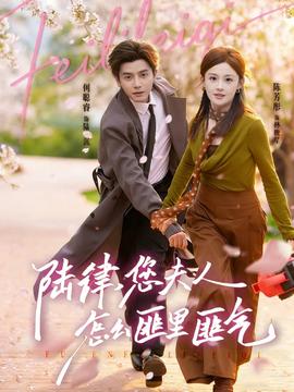 陸律，您夫人怎么匪里匪氣(全集)