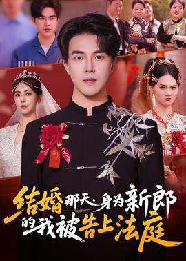 結(jié)婚那天，身為新郎的我被告上法庭(全集)